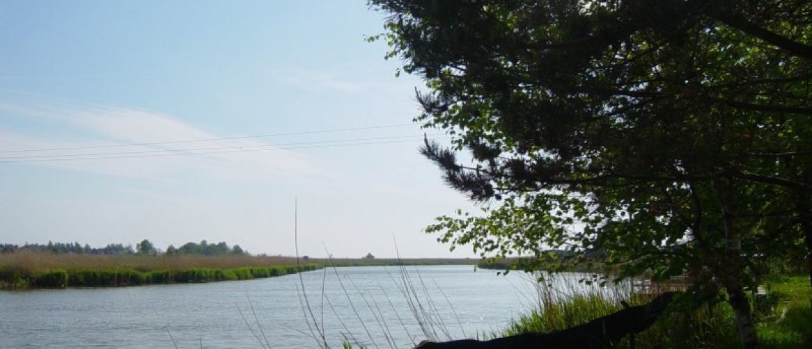 25c10343d2216c77acb8fab9a3f6ac60_f5673ce1e9f6333a4553ca01d608158d_1166x502