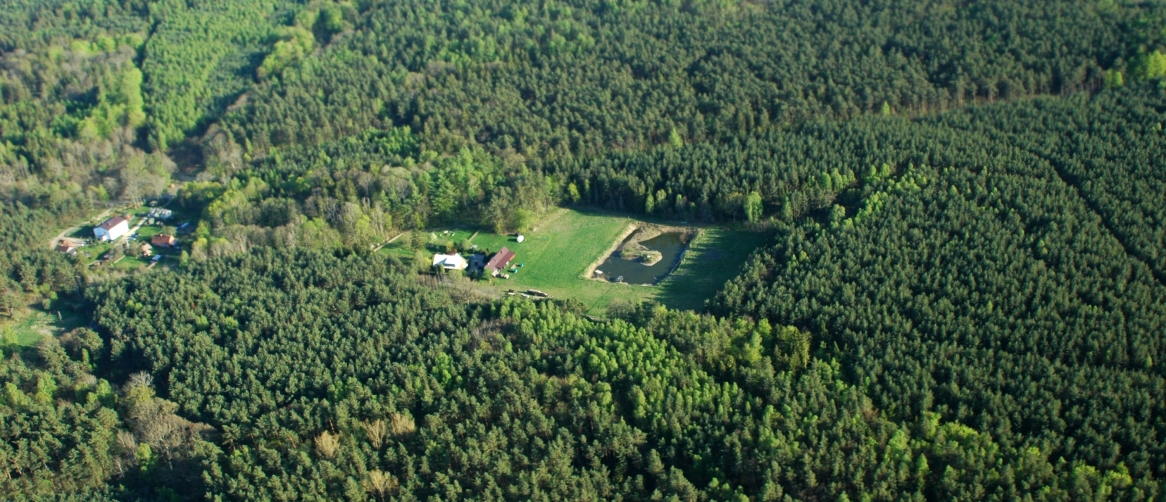 2979a19dfc91002442d71df4d619b475_fad8ef86e1161ed2cac55fa18b9149cb_1166x502