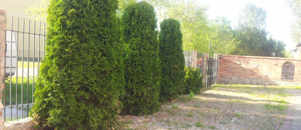 40cd0a62f9fb4a80e474873441e04c76_b46f6b33f8ff3c124ab22ae04dfb9ca6_1166x502