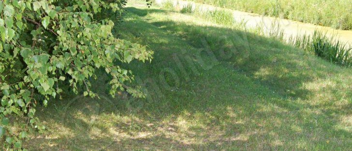 5d6702b51dd0d9001f162560ce265aaa_3870a44034a58506b919d672f88cf3d4_1166x502