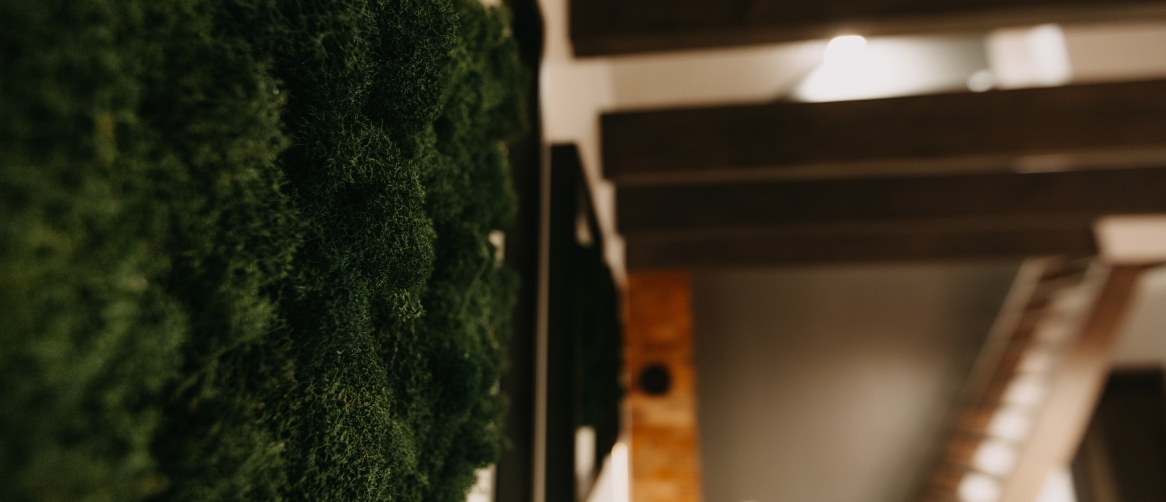 7d8904ee1770a94e6f9a8093fa28140f_55a99678ffa7a3d5bede79517bc52155_1166x502