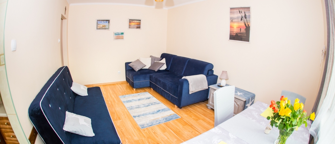 919bda0811d3aa80a0357b41468acadd_e22881548a27ec4784ca5d962216c660_1166x502