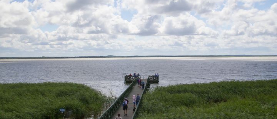 Aab3238922bcc25a6f606eb525ffdc56_9d3a85d7e2064720127f2f961ae5a7fc_1166x502