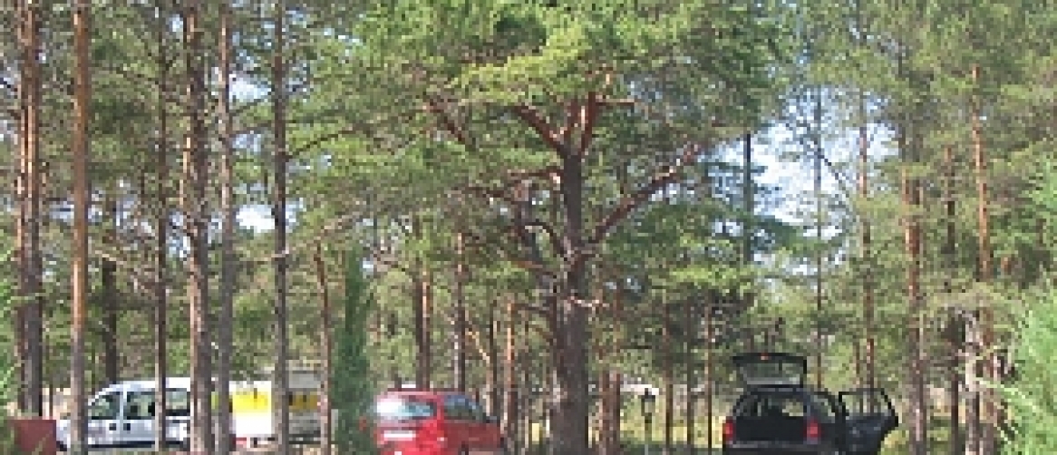 Af0ed9c82cd73a1d0f222ccbc7c78cd3_eb32af1bd128df799d67718211b75c7b_1166x502