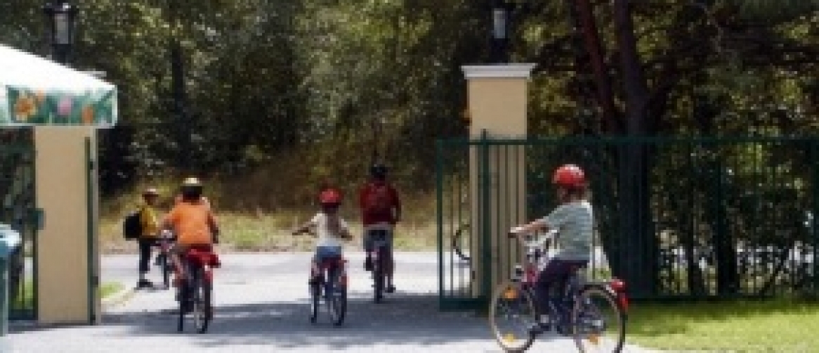 D1a664faeeaa678a46999e6ef045c04c_908cca9b30ff961c49d1102b6f74c485_1166x502