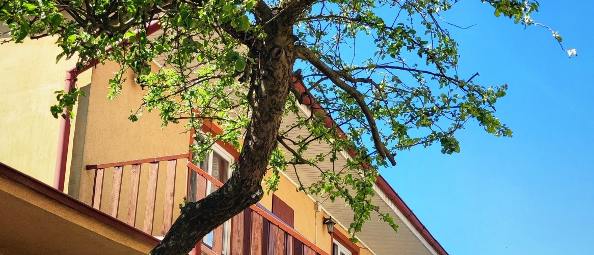 Da447304f4bebfb8798208c7654b61e0_9fdd47e0e800e08c7cad7a436e5ad73d_1166x502